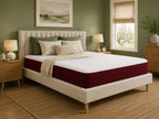 Reign Invictus Mattress -  Firm